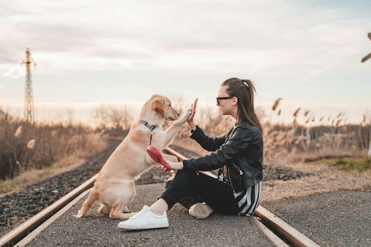 EIN HUND ALS NEUES FAMILIENMITGLIED: Bist du bereit für einen Vierbeiner?