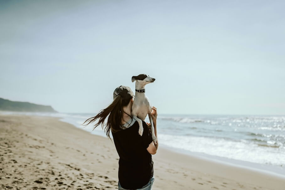 Mit dem Hund in den Urlaub