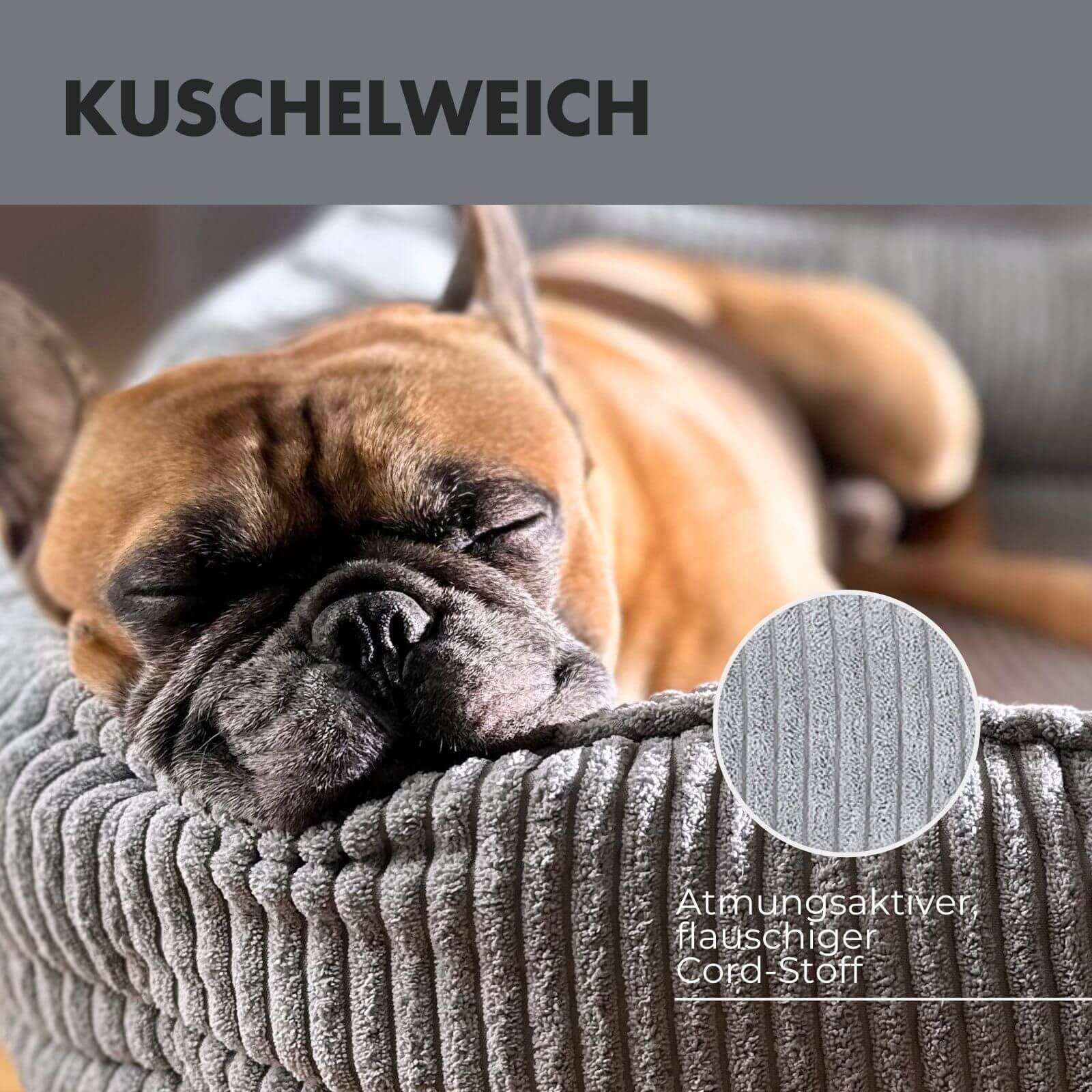 Hundebett ANTON Cord Grau - paw-wow