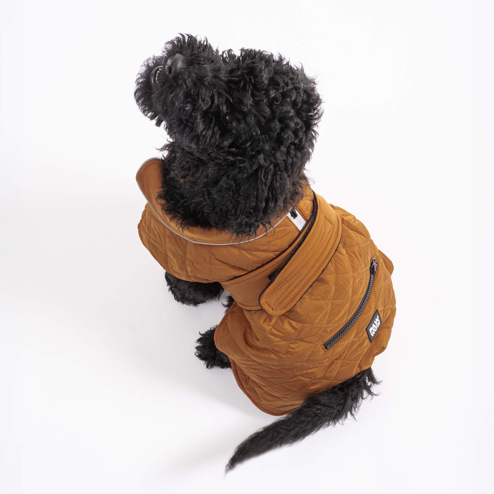 dog jacket FRITZ Brown