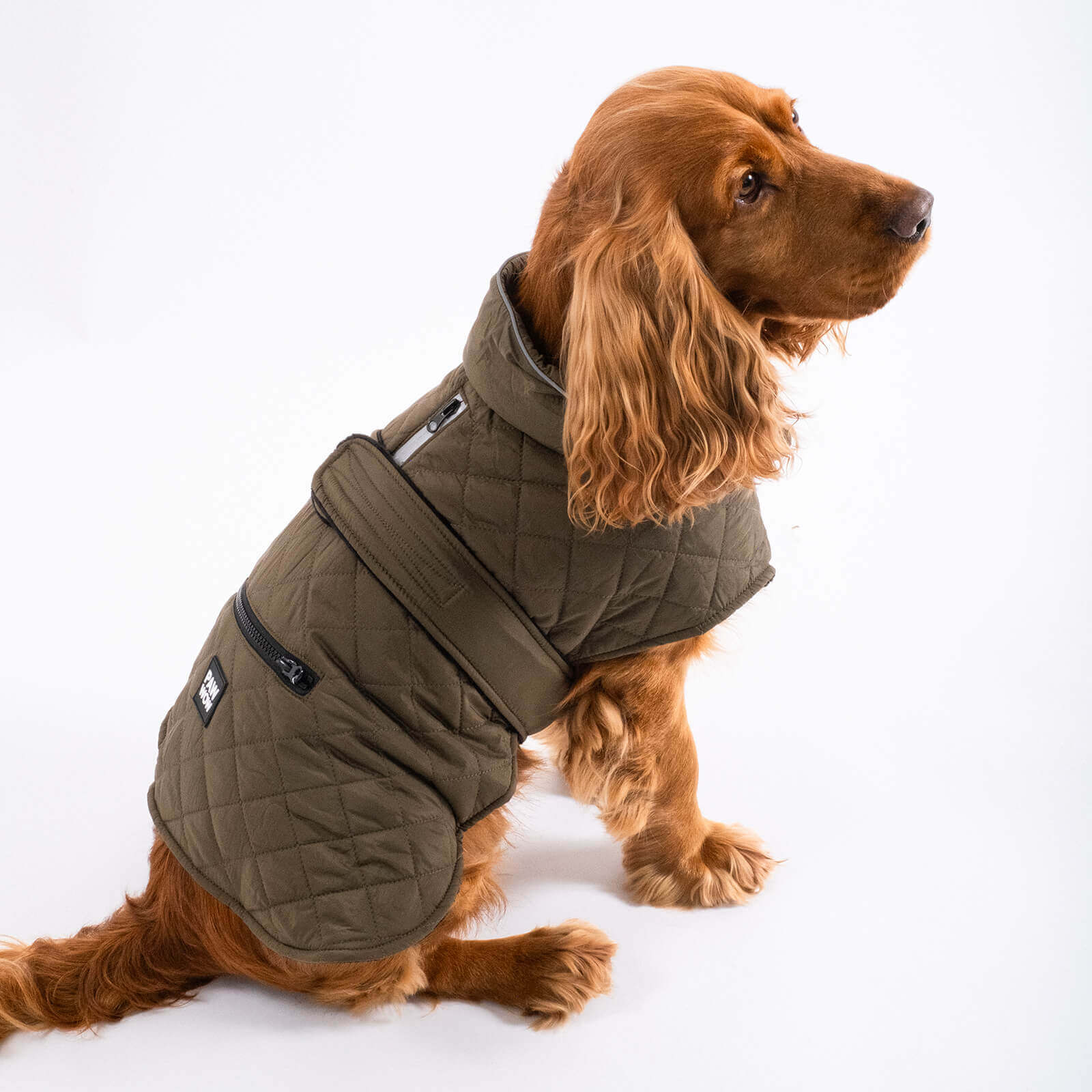 dog jacket FRITZ Olive