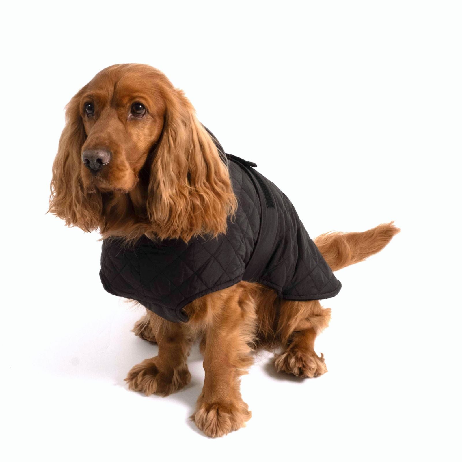 Dog Jacket FRITZ Black