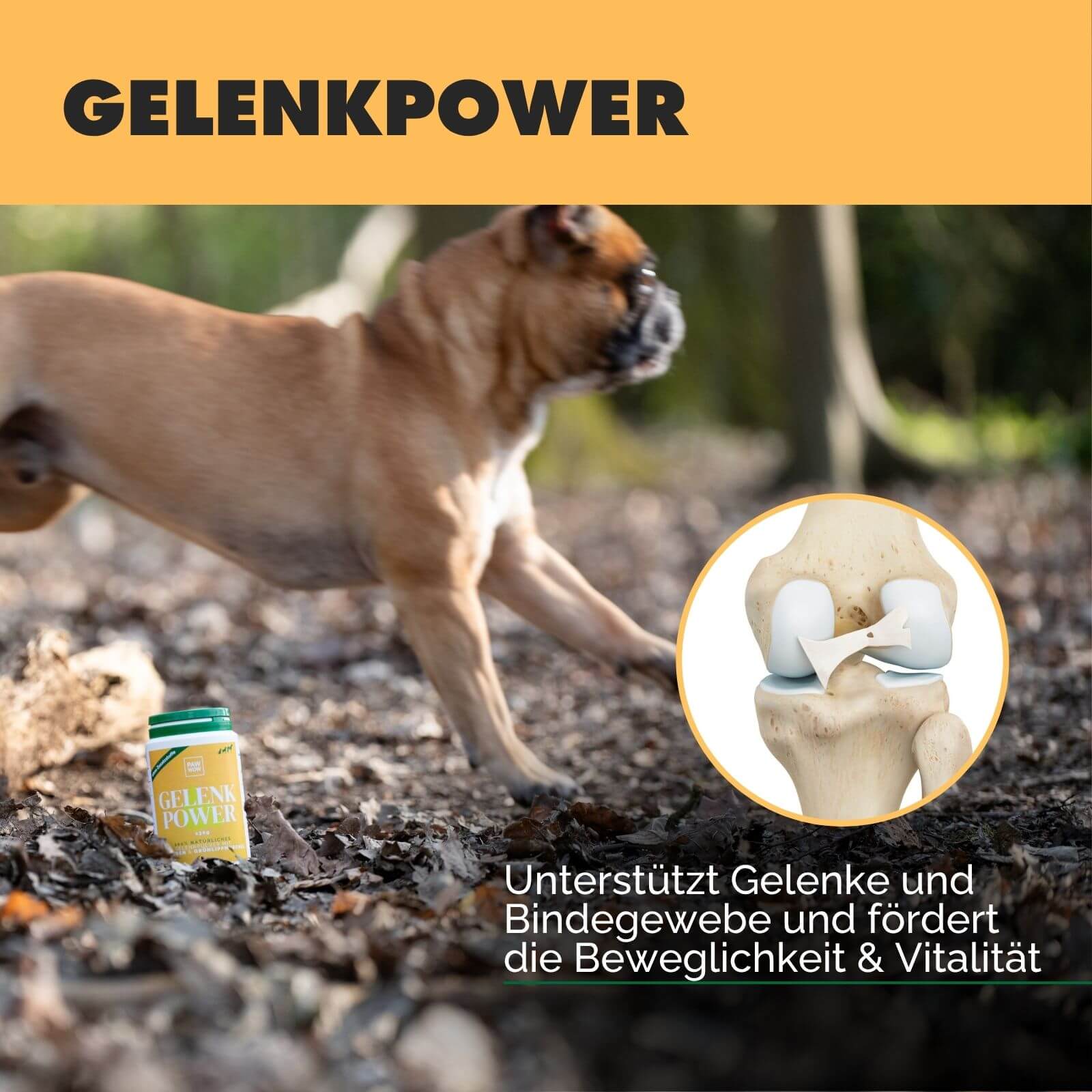 Gelenkpulver GELENKPOWER mit Kollagen & Grünlippmuschel - paw-wow