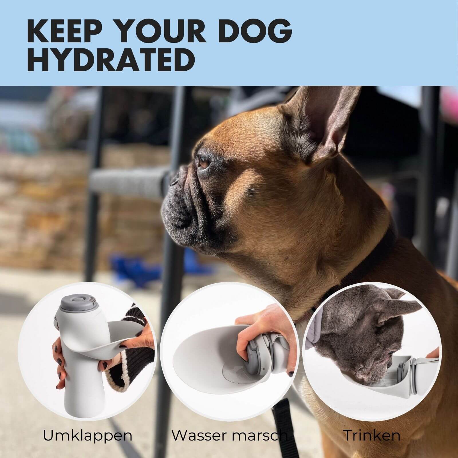 Trinkflasche für Hunde PAULA 500ml - paw-wow