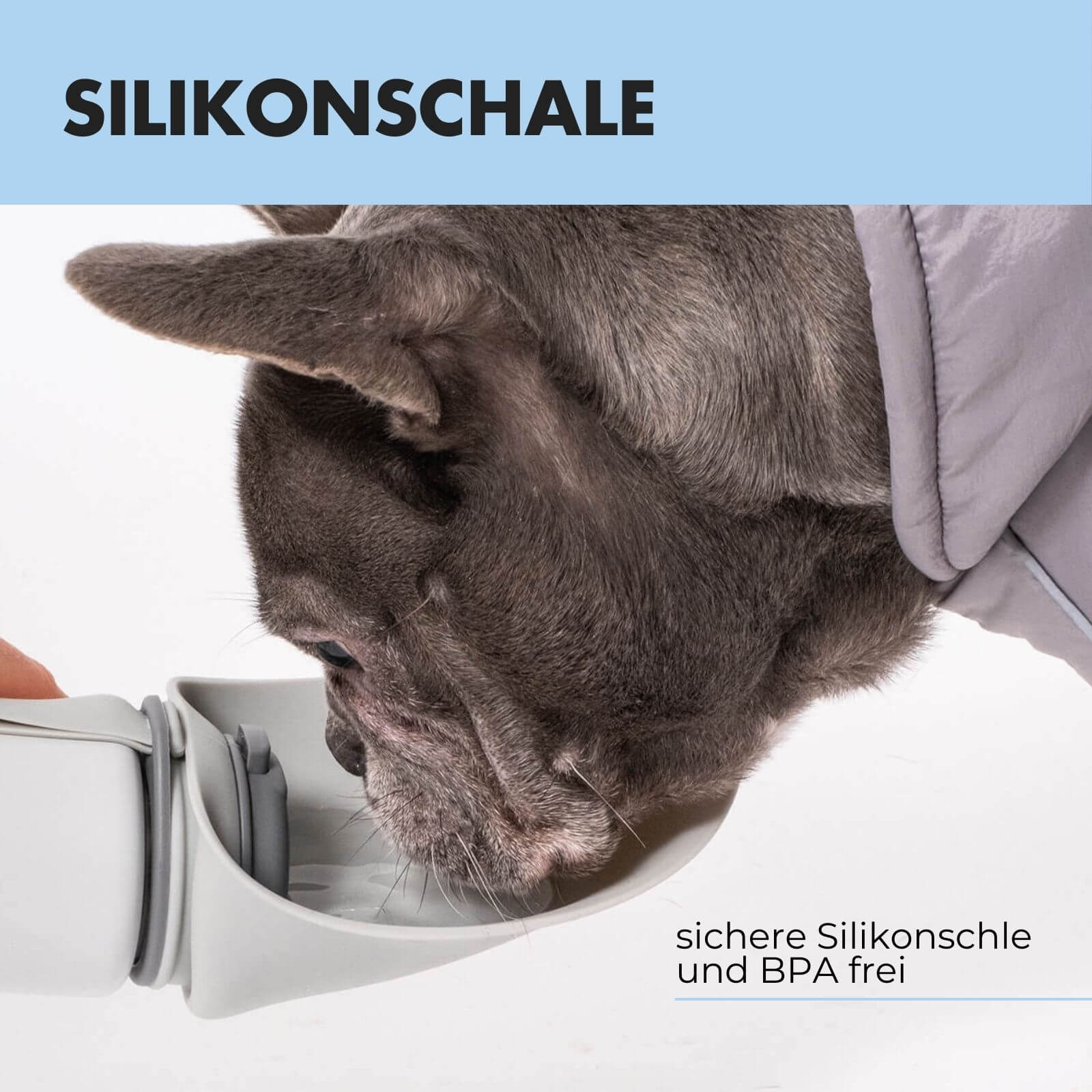 Trinkflasche für Hunde PAULA 500ml - paw-wow