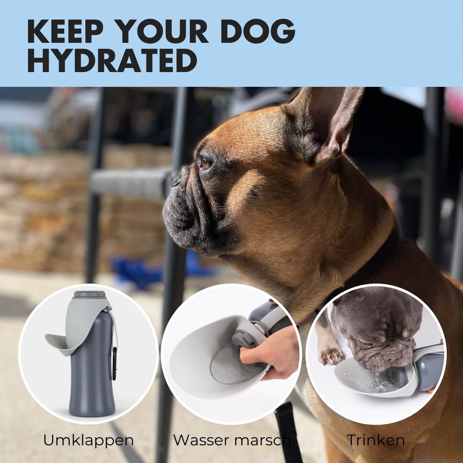 Trinkflasche für Hunde PAUL 800ml - paw-wow