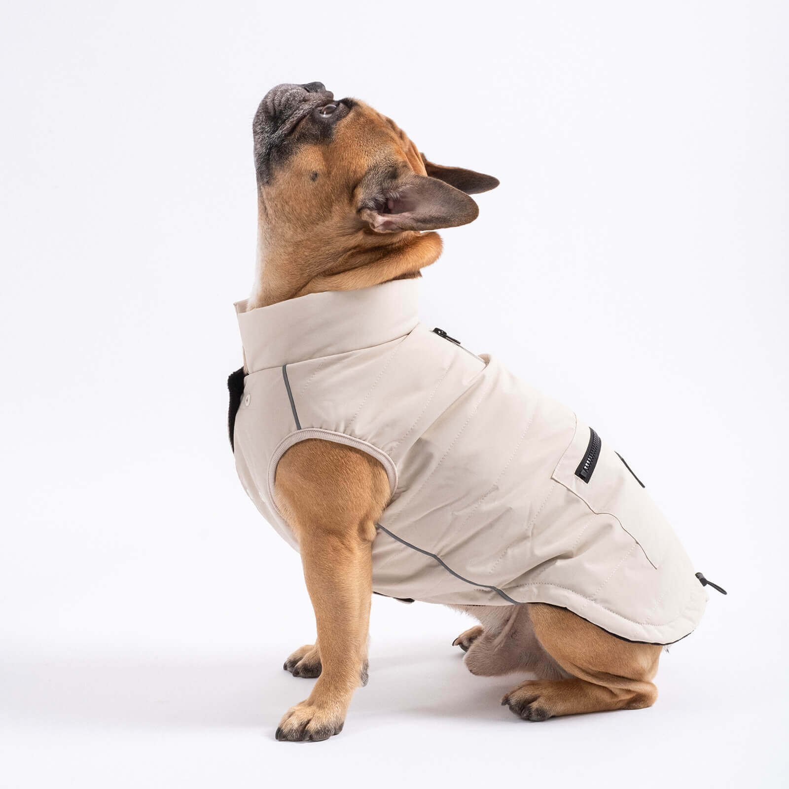 Hundejacke TONI Beige - paw-wow