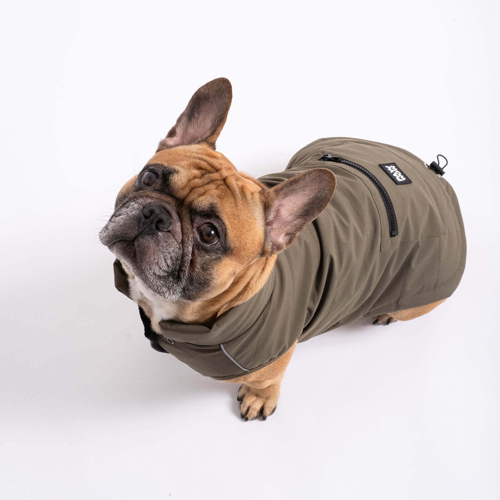 dog jacket TONI Olive