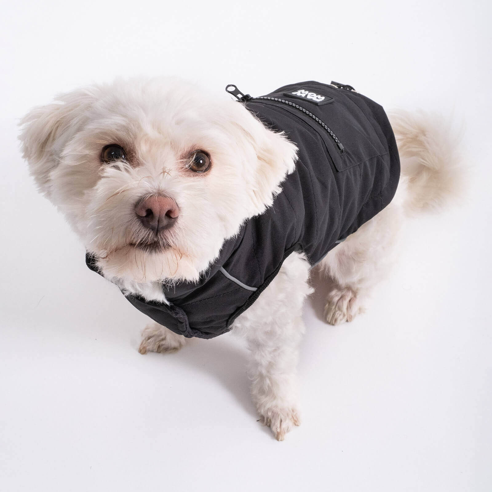 dog jacket TONI Black