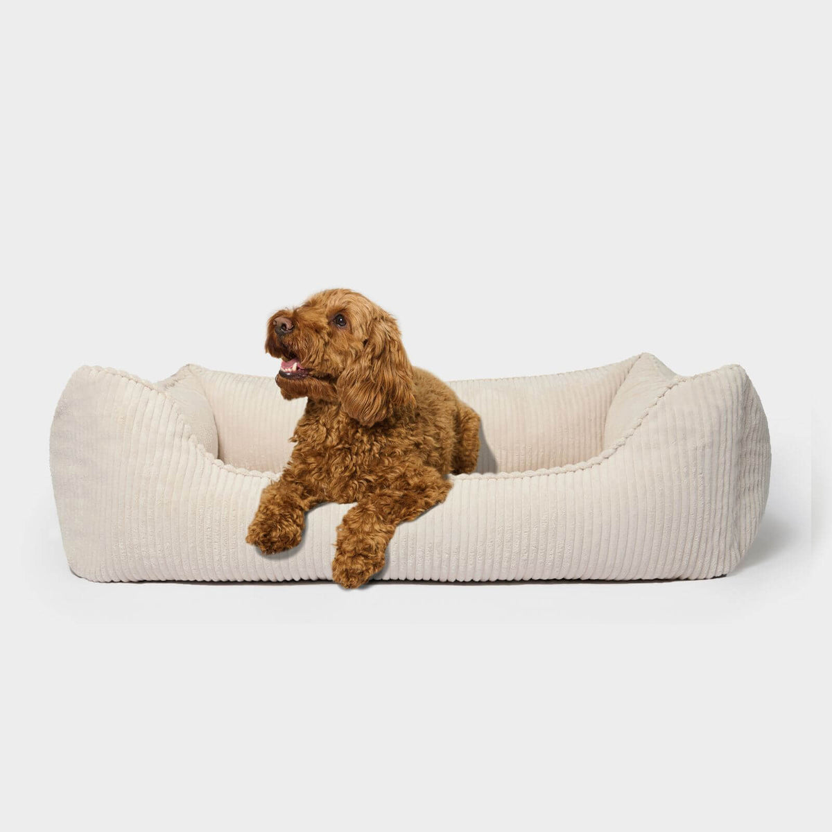 Hundebett Beige Cord